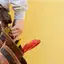 Handyman repair service in Saint Petersburg, FL for home fixes and improvements